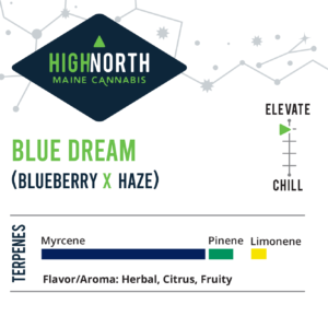 Blue-Dream-Flower-Terpenes-Recreational-Cannabis-By-Wellness-Connection-of-Maine