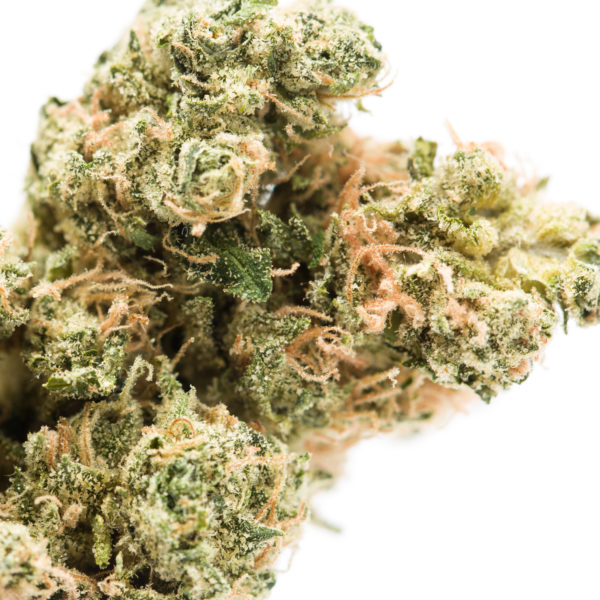 GSC-Flower-Macro-Recreational-Cannabis-By-Wellness-Connection-of-Maine