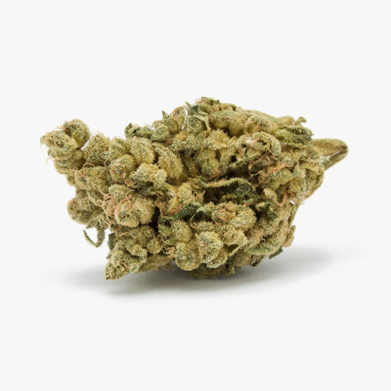 Skywalker Kush - Sativa - Cannabis (Marijuana)