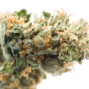 Trainwreck - Sativa - Flower - Macro - Recreational Cannabis By Wellness Connection of Maine