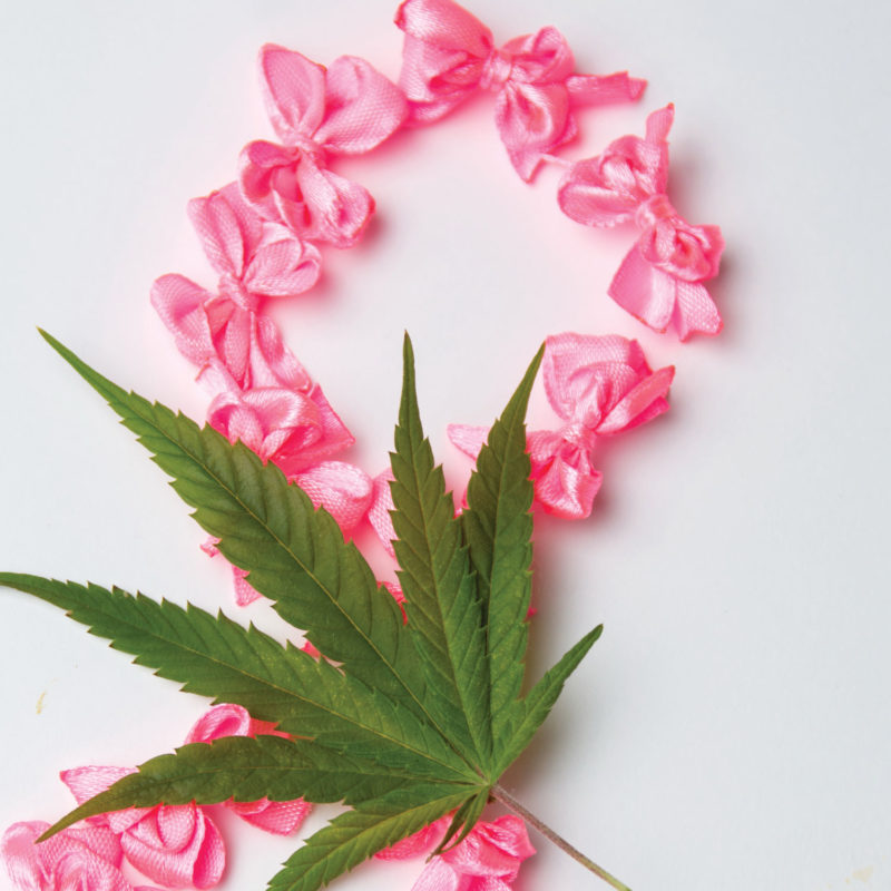 Cannabis and Breast Cancer: It's Not Just Palliative