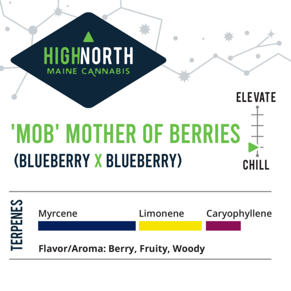 Mother-of-Berries-MOB-Flower-Terpenes-Recreational-Cannabis-By-Wellness-Connection-of-Maine