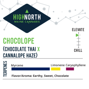 Chocolope-Flower-Terpenes-Recreational-Cannabis-By-Wellness-Connection-of-Maine
