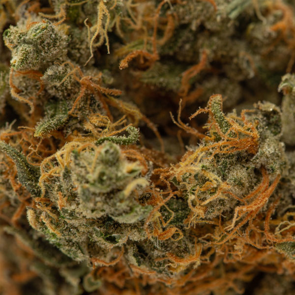 Sour-Kush-Flower-Macro-Recreational-Cannabis-By-Wellness-Connection-of-Maine
