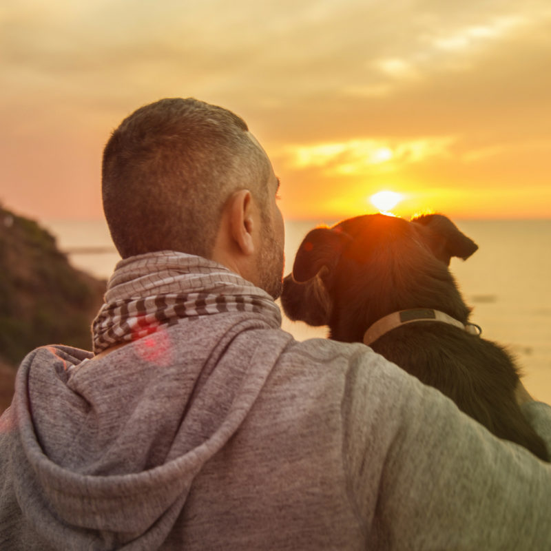 5 Reasons to Give CBD to Your Pet