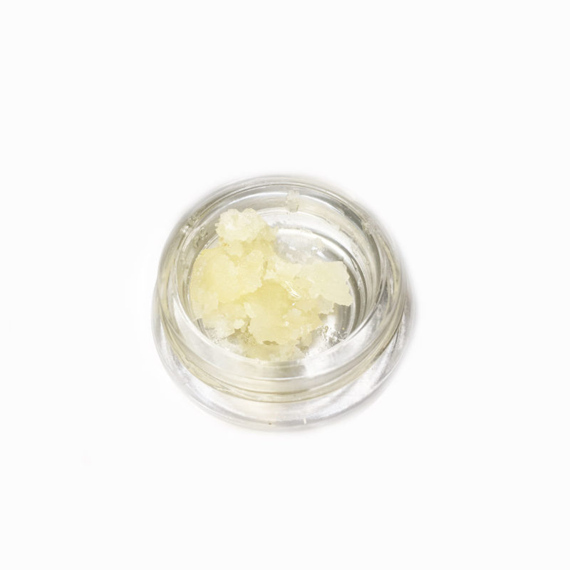 Wellness Connection