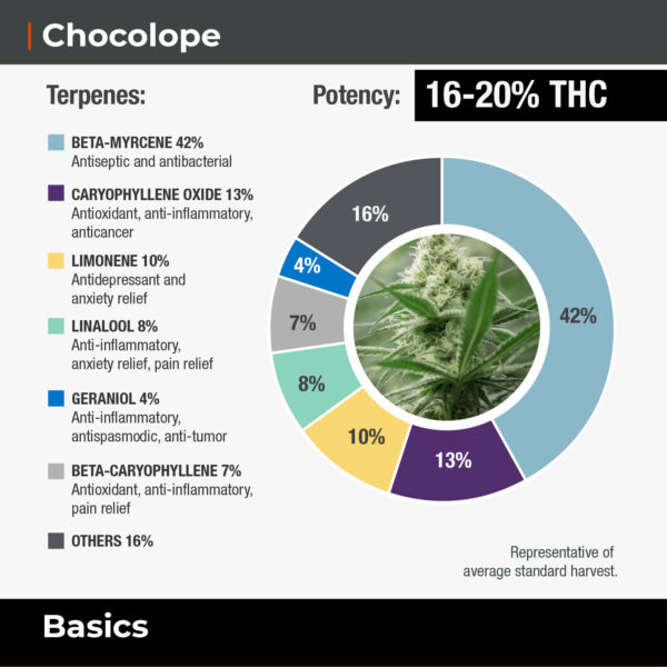 Chocolope-Basics-Terpene-Wheel-Website