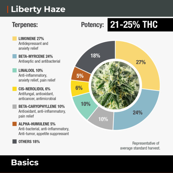 Liberty-Haze-Basics-Terpene-Wheel-Website
