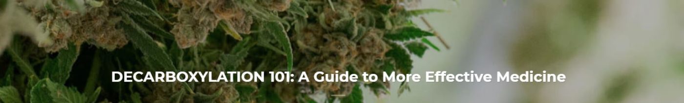 Let's Get Cooking With Cannabis Blog
