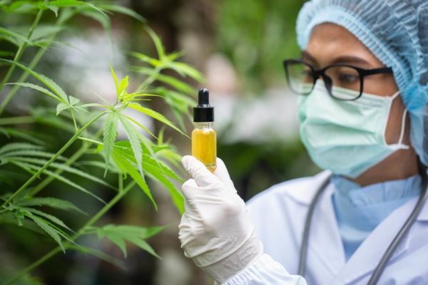 CBD 101 Everything You Need to Know About CBD Banner