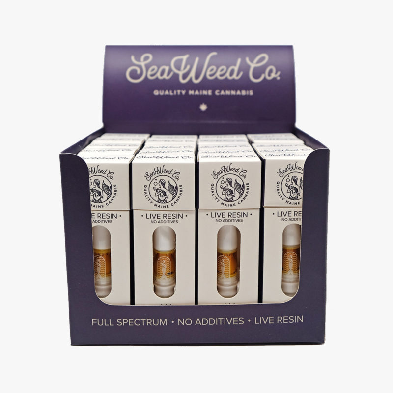Wellness Connection
