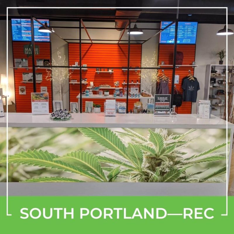 Shop Near Me For Maine Recreational Cannabis By Wellness Connection in South Portland
