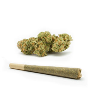 9A95 Pre-Roll-Recreational-Cannabis-By-Wellness-Connection-of-Maine