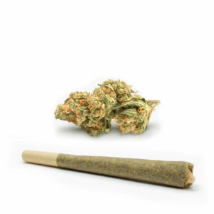 Blue Dream-Pre-Roll-Recreational-Cannabis-By-Wellness-Connection-of-Maine