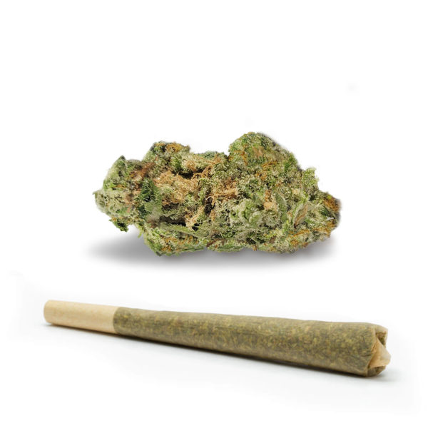 Dirty Mac-Pre-Roll-Recreational-Cannabis-By-Wellness-Connection-of-Maine