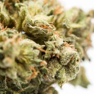 Liberty Haze-Flower-Macro-Recreational-Cannabis-By-Wellness-Connection-of-Maine