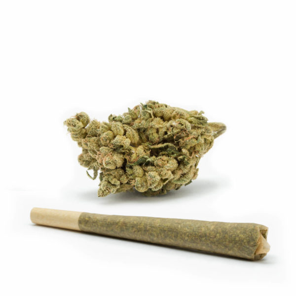Skywalker Kush-Pre-Roll-Recreational-Cannabis-By-Wellness-Connection-of-Maine