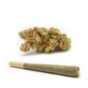 Sour-Diesel-Pre-Roll-Recreational-Cannabis-By-Wellness-Connection