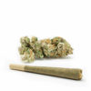 Trainwreck-Pre-Roll-Recreational-Cannabis-By-Wellness-Connection-of-Maine