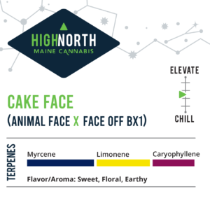 Cake-Face-Flower-Terpenes-Recreational-Cannabis-By-Wellness-Connection-of-Maine