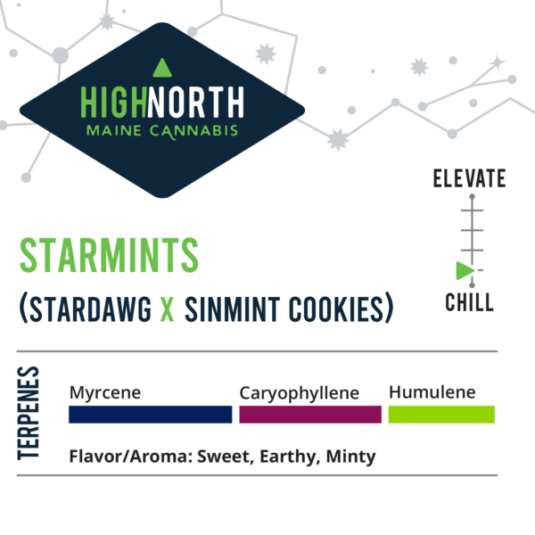 Starmints-Flower-Terpenes-Recreational-Cannabis-By-Wellness-Connection-of-Maine