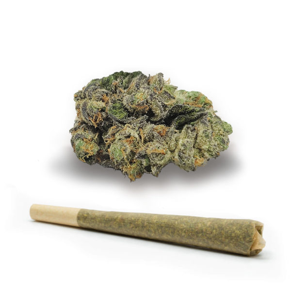 Tropical Shortcake-Pre-Roll-Recreational-Cannabis-By-Wellness-Connection-of-Maine